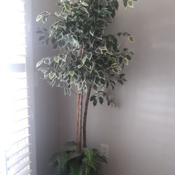 Silk Fake Plant, 5 Feet Tall