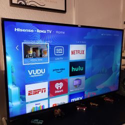 43 Inch Roku Tv