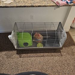 Guinea Pig Cage