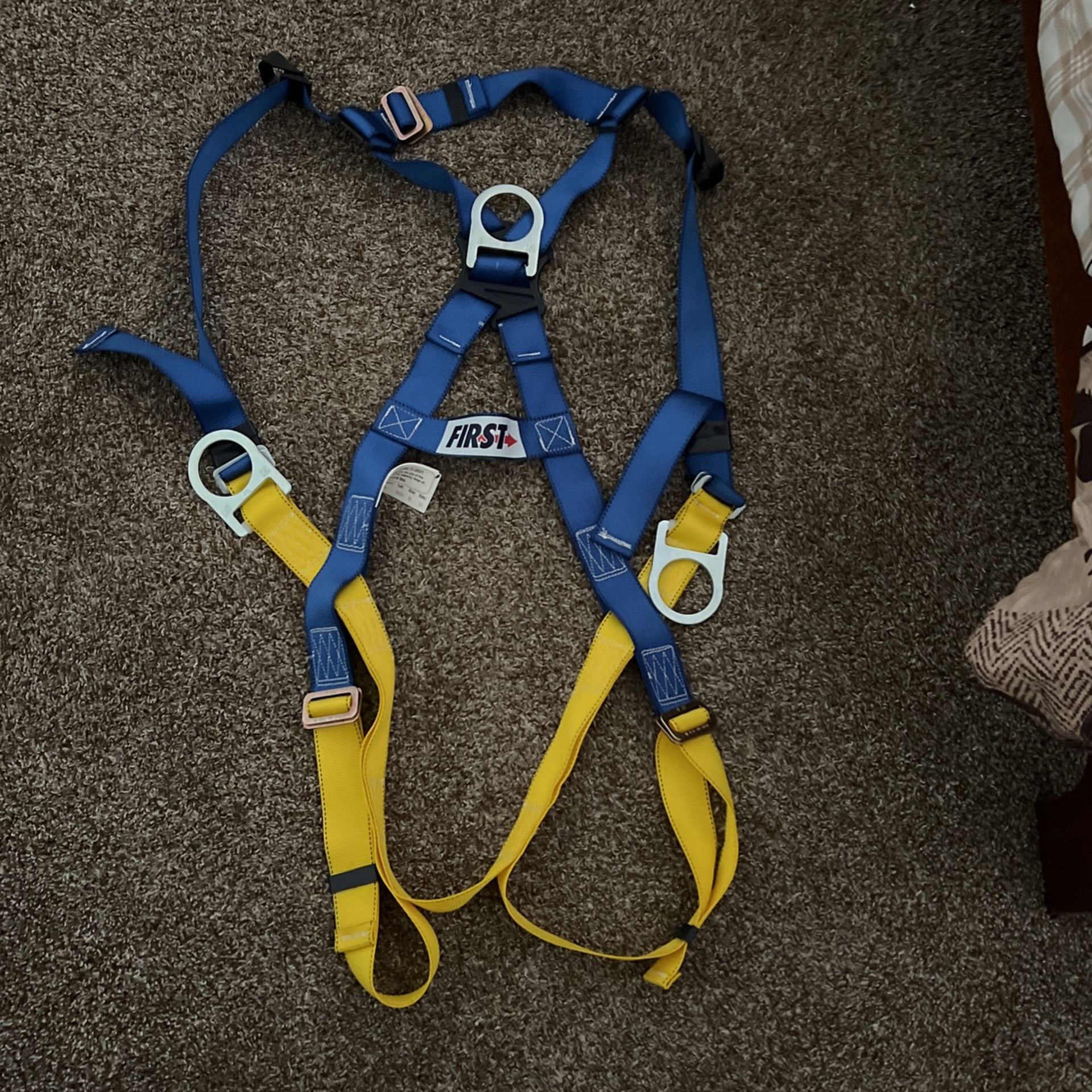Harness
