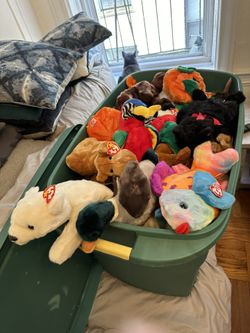 Beanie Babies