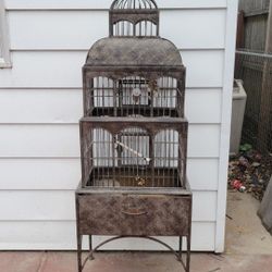 Bird Cage 