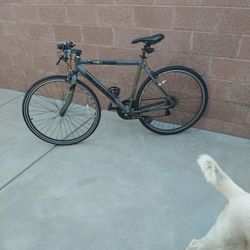 Men City Bike