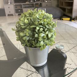 fake plant / home decor