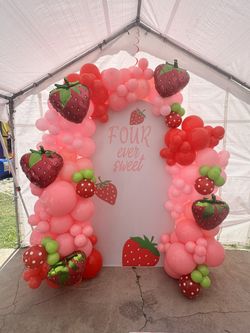 Balloon Arch With Back Drop