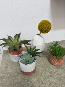 Set of 5 Faux Succulent & Plant Arrangement