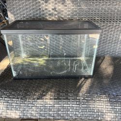 10 Gallon Tank