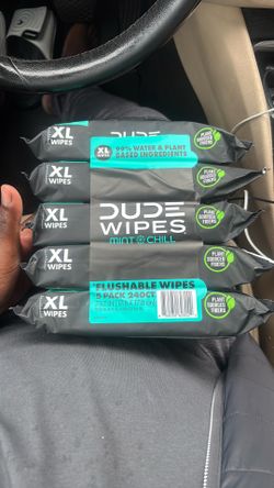 Dude Wipes XL X 5