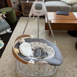 Ingenuity Baby Swing