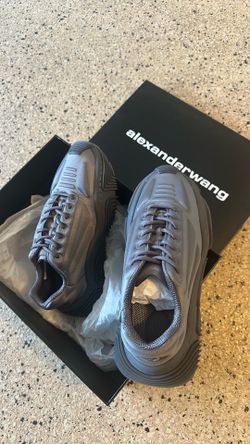 New Alexander Wang vortex