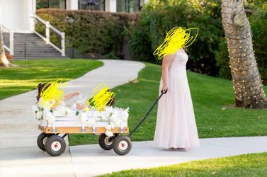 Flower Girl Wagon