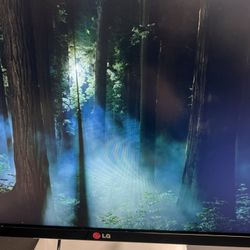 Dell/lg Monitors 