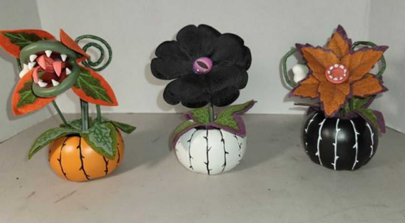 Hyde and EEK! Set of 3 Halloween Ghoulish Garden Creepy Succulents