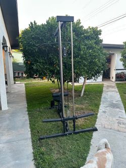 Gym equipment