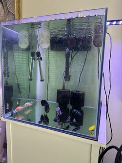 Rimless 60 Gallon Fish Tank With Stand 