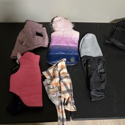Little Dog Jackets 