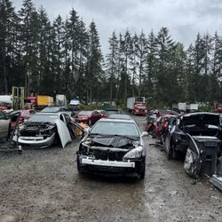 Bodyshop 30 year experience 