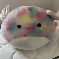 24’ axolotl squishmellow 