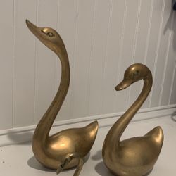 Elegant Brass Swan 🦢 decor