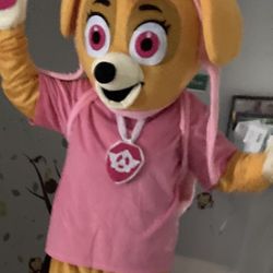 1 Hour Only