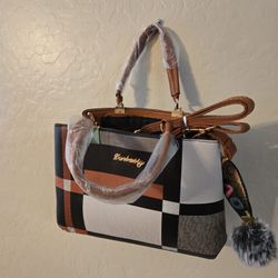 Danbaoly Purse Bag