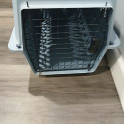 Cat Dog  Carry 
