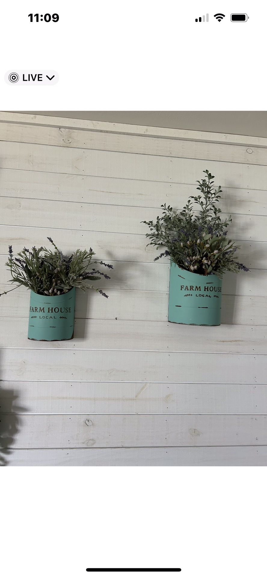 Decorator Buckets