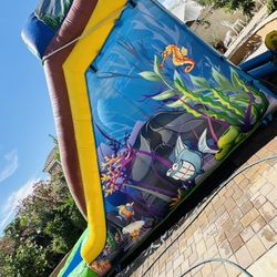 14ft Water Slide