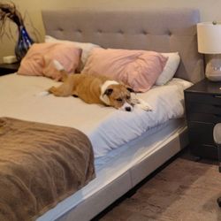 King sized bed frame - FREE