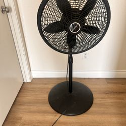 Fan 