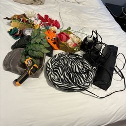 Bearded Dragon Items