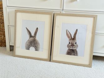 Nursery bunny portrait