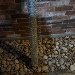 Chicken Wire