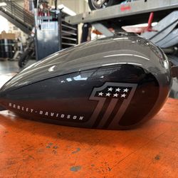 2022 Softail Street Bob Fuel Tank Assembly