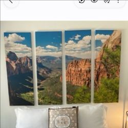 Moving sale! Canvas Arizona
