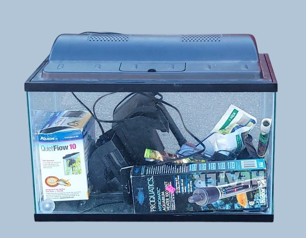 10 Gallon Fish Tank Aquarium with Lights Pump Heater Backdrop Accessories 40 Bucks Firm