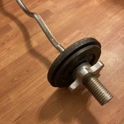 Curl Bar 