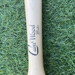Cam Wood Baseball Training Bat