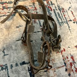 Climbing Belt 