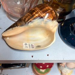 Shell