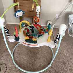 Fisher price jumper