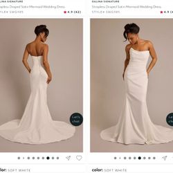 Wedding Dress w/ Veil 