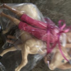 Barbie Pony, Barbie and Boy Bsrbie