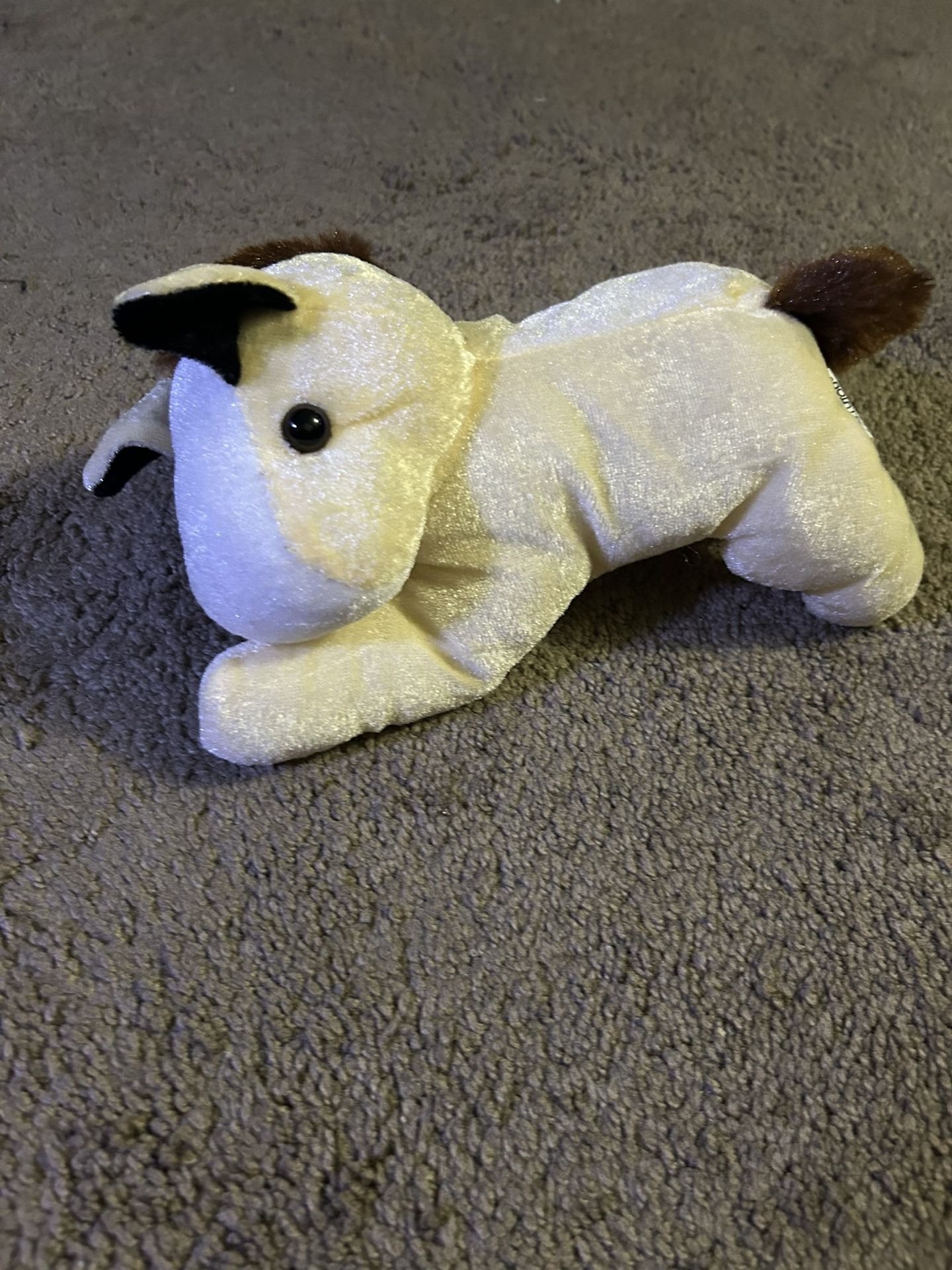 Hoarse Plushy