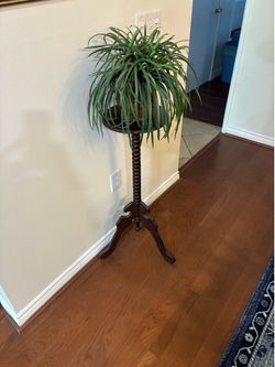 Antique plant stand $50