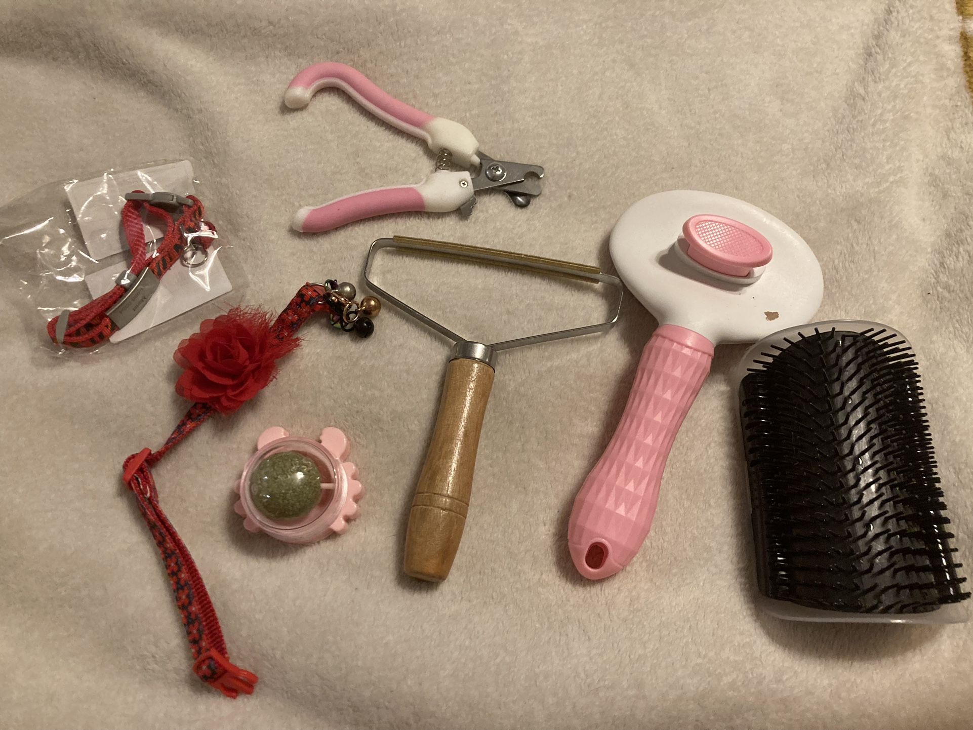 Cat Accessories