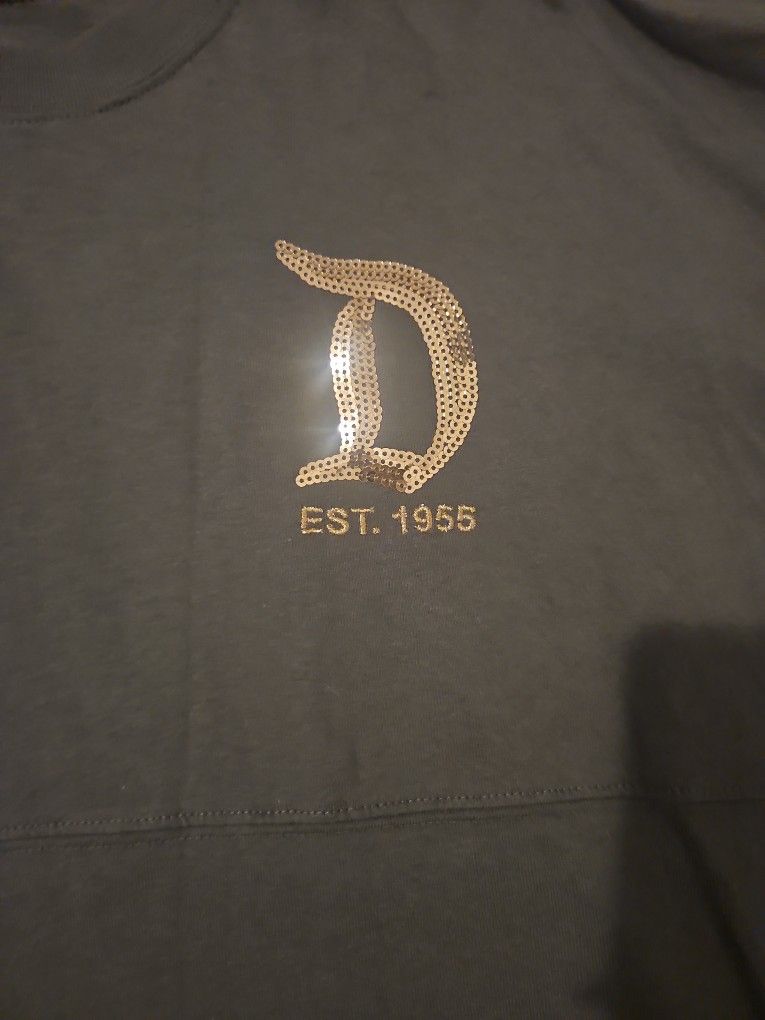 Disney Spirit Jersey