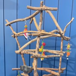 African Grey  - Amazon Parrot Perch Tree … The Best Socializer For Mr Feathers 👌🏾