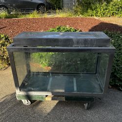 Steel Frame 50 Gallon Fish Tank