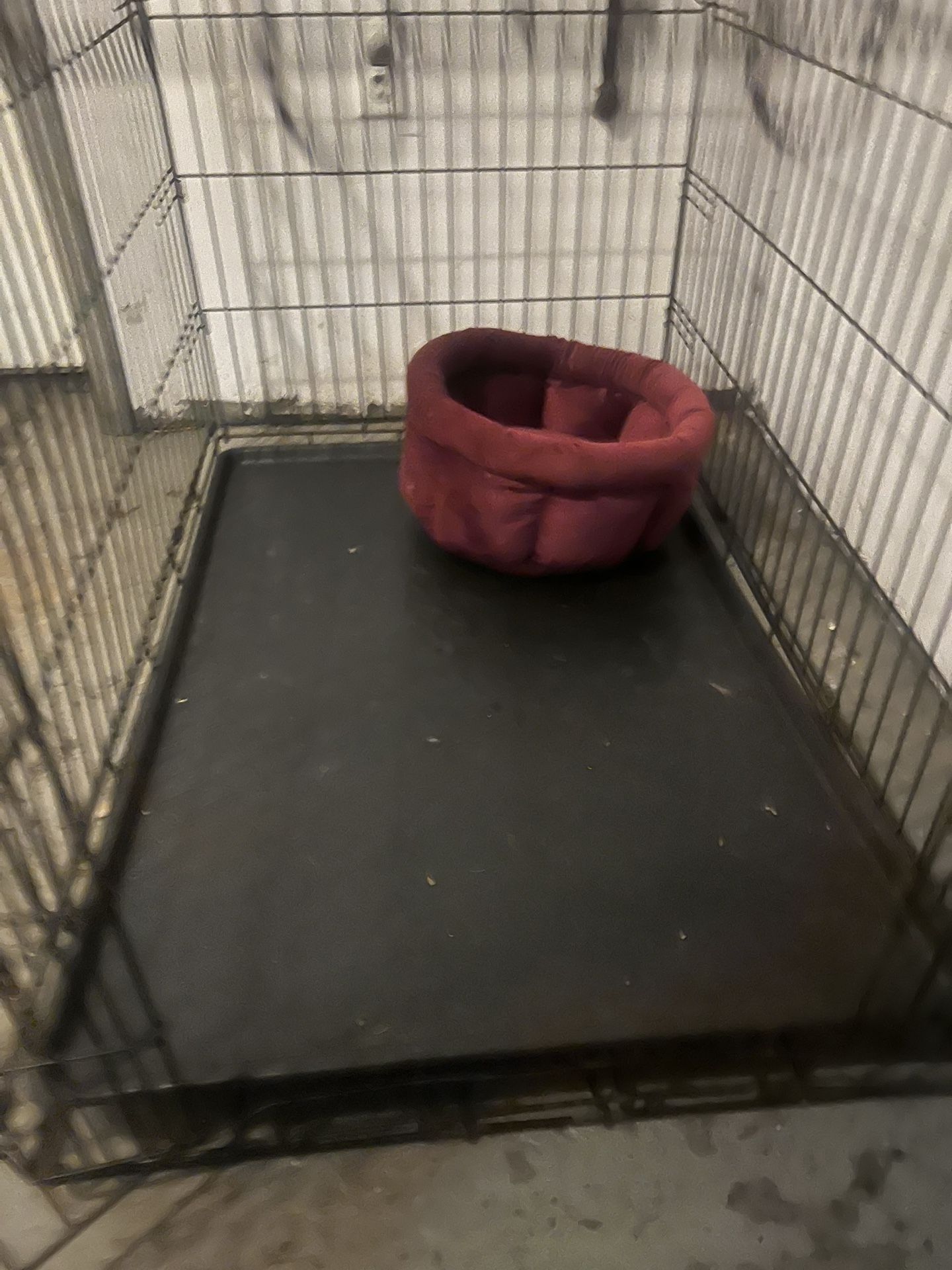 Extra Large Dog Crate